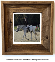 horse trail rides near me in South Hadley, Massachusetts